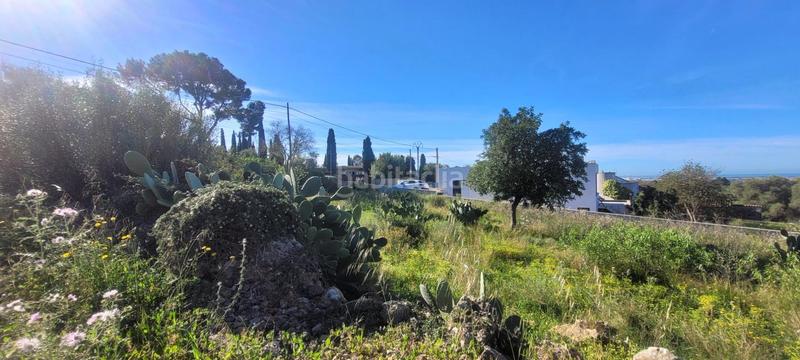 Foto 3bfb6f36-013f-4b4c-91ac-b7441133e0ca. Wohngrundstück in Sa Cabaneta Marratxí