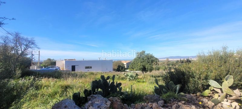 Foto 4d9358d2-5bc7-4a2b-86cc-9f79f77c2e10. Terreno residencial conjunto de tres terrenos urbanos en Sa Cabaneta, en Marratxí