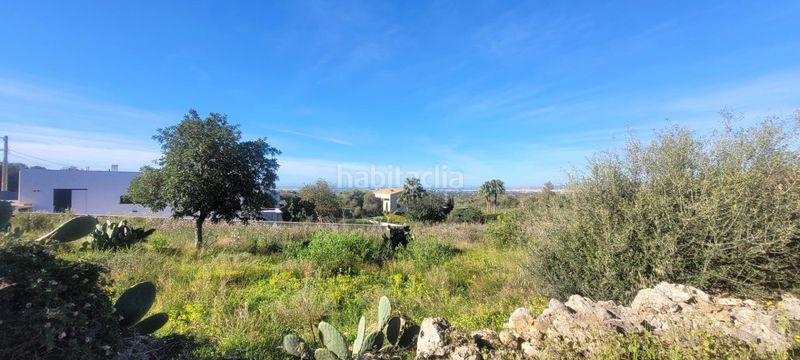 Foto 53e8f4e9-c3ff-42b2-8b62-4b9b69224660. Terreno residencial conjunto de tres terrenos urbanos en Sa Cabaneta, en Marratxí