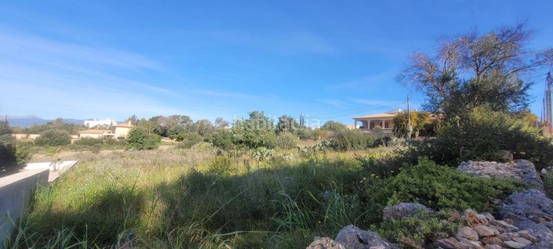Foto 5ed5fde1-dd6d-4501-89d1-71c42eeefda9. Terreno residencial conjunto de tres terrenos urbanos en Sa Cabaneta, en Marratxí