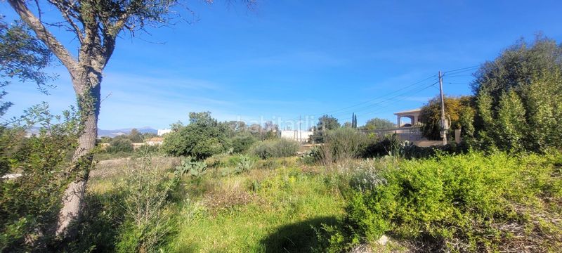 Foto 603528a7-61e1-4593-a6be-d65cd343b6ff. Terreno residencial conjunto de tres terrenos urbanos en Sa Cabaneta, en Marratxí
