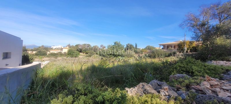 Foto 6a4ece6f-4b7e-4a7f-907d-e17b770b7db5. Terreno residencial conjunto de tres terrenos urbanos en Sa Cabaneta, en Marratxí