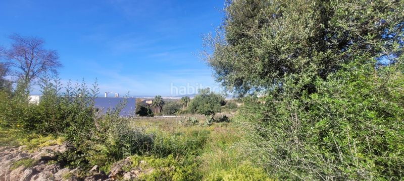 Foto 881ff396-c2b8-4c42-916d-2f3dfeb36e41. Terreno residencial conjunto de tres terrenos urbanos en Sa Cabaneta, en Marratxí