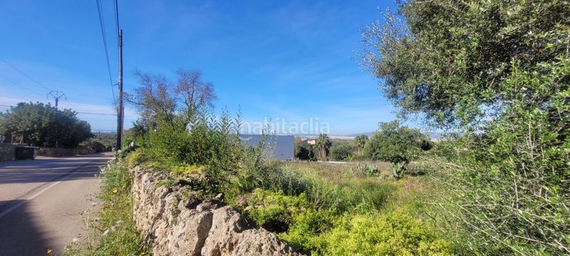 Foto 8965ecc9-b15c-4d05-b404-0e455547811f. Terreno residencial conjunto de tres terrenos urbanos en Sa Cabaneta, en Marratxí