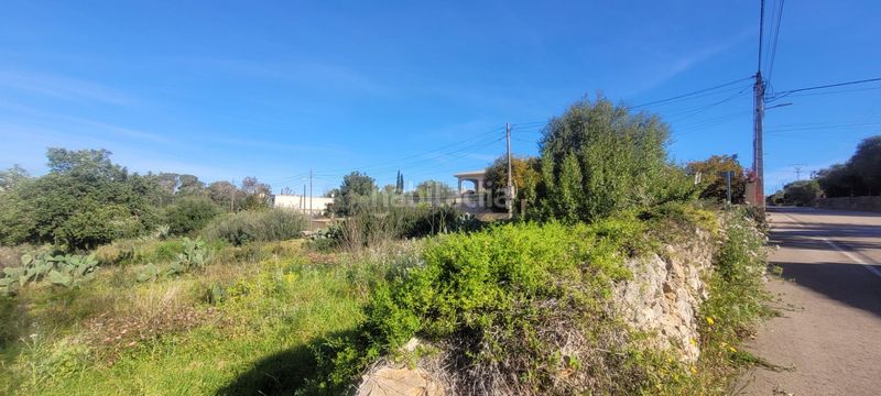 Foto dbbfffce-a2d2-446c-bd56-37747c537ff3. Terreno residencial conjunto de tres terrenos urbanos en Sa Cabaneta, en Marratxí