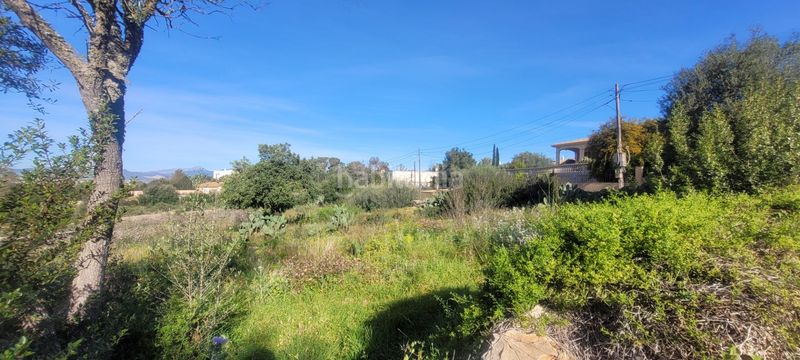 Foto faeecb3d-41c8-45d6-a761-ad4248f258d2. Terreno residencial conjunto de tres terrenos urbanos en Sa Cabaneta, en Marratxí