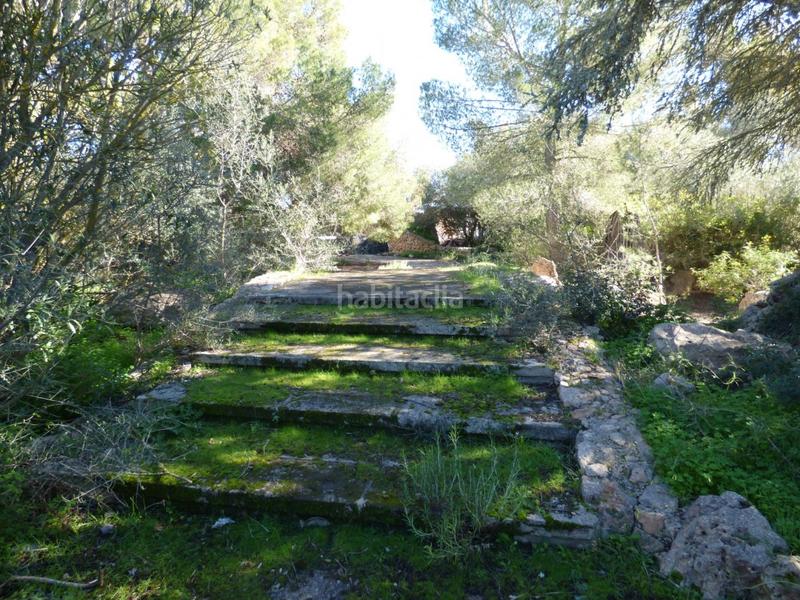 Foto 7e58f2c1-eea1-442d-b23a-15a8eb0cdf1e. Terreno residenziale in Sa Torre Llucmajor