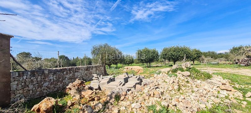 Foto 244b7012-742f-453a-837d-6d31f95ea751. Masia a Sineu