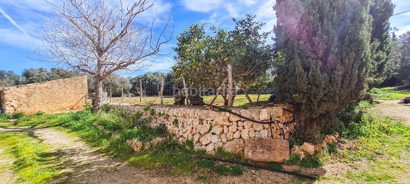 Foto 283df07a-5dbd-407c-9424-0c3485ea5cc8. Masia a Sineu