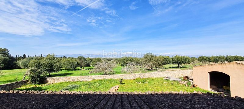 Foto 32d572ad-c375-4934-97df-e2505376b1e3. Masia a Sineu