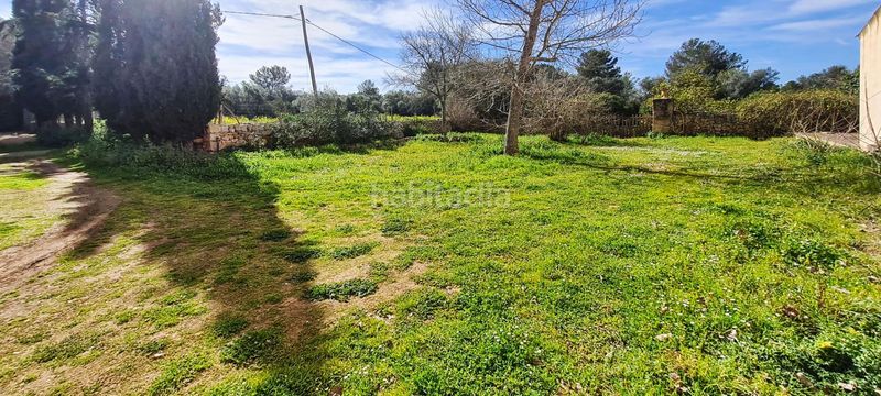 Foto e7ceec9a-9770-4875-a679-35d24e37b2a3. Masia a Sineu