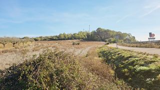 Finca rústica en Sant Joan. Terreno agrícola en sant joan, mallorca