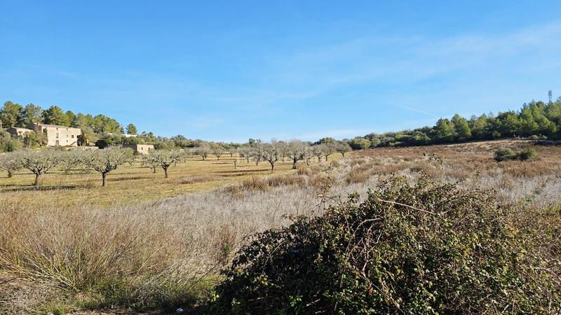 Foto 17dcc373-143f-40b8-b178-53db9a281fe8. Finca rústica a Sant Joan