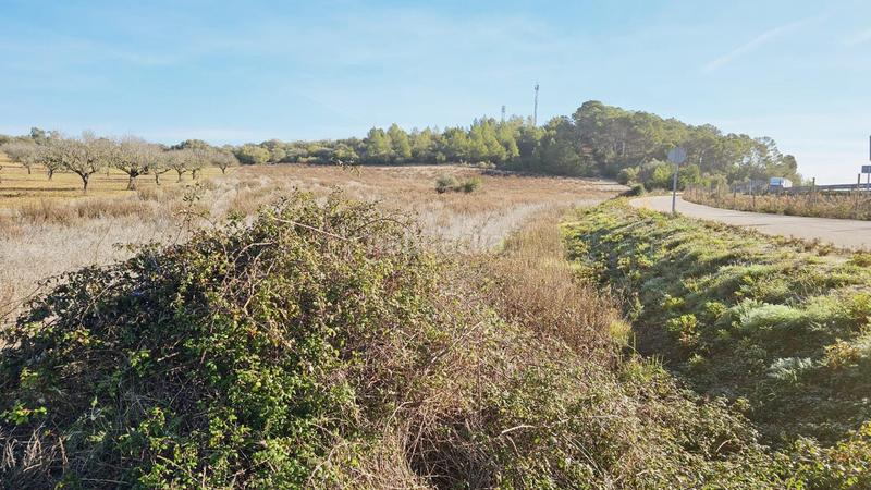 Foto 1a94645d-6760-4d12-b328-dcca58b780dc. Finca rústica a Sant Joan