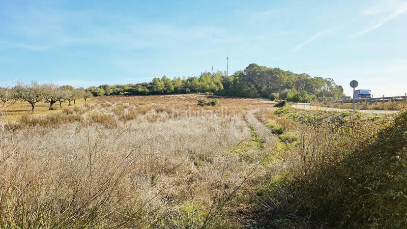 Foto 2178a6fd-fbf4-418c-ad10-798af81d6c3e. Finca rústica a Sant Joan