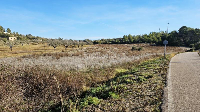 Foto f47dcda8-7f01-45cb-9fd9-98042e644c4a. Finca rústica a Sant Joan