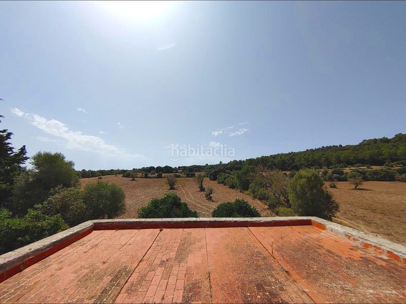 Foto 0d3b3202-3368-4aeb-a476-520ff9b7472e. Masia amb calefacció aparcament piscina a Algaida