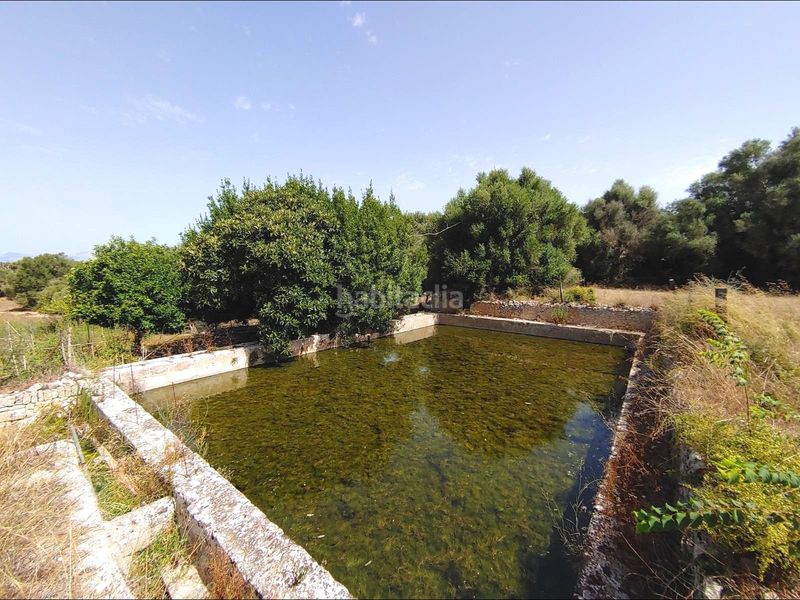 Foto 2d01741d-fc72-4aa3-95ed-afe60b546ca2. Masia amb calefacció aparcament piscina a Algaida