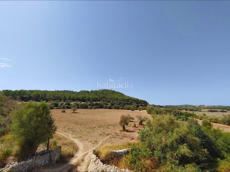 Foto 7c034072-48f8-4738-b2f6-bd2dbe9a60eb. Masia amb calefacció aparcament piscina a Algaida