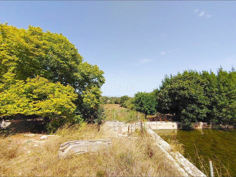 Foto aea40cb8-2a68-441c-9578-be0f01ffd213. Masia amb calefacció aparcament piscina a Algaida