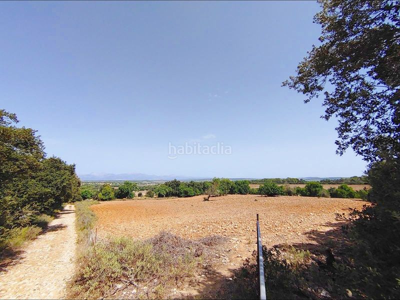 Foto cea531c0-bc98-465d-851c-e80d53c84c95. Masia amb calefacció aparcament piscina a Algaida