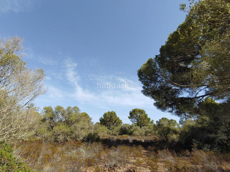 Foto 0afcb738-1a58-4d49-bfaa-ee563be7e1fe. Terreny residencial a Cala Pi-Vallgornera Llucmajor