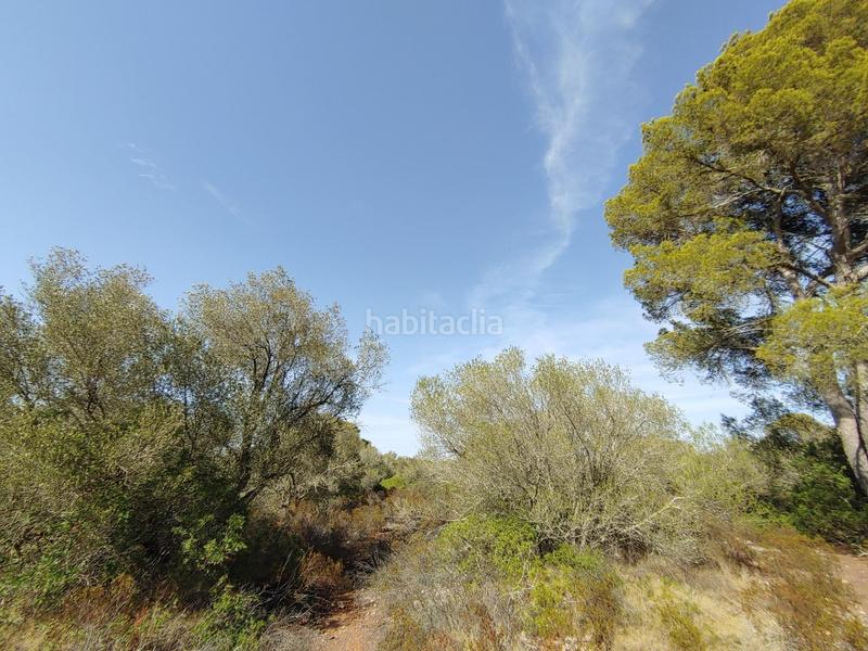 Foto 12524503-2599-4d1f-a4c8-c4b2191d56e8. Terreny residencial a Cala Pi-Vallgornera Llucmajor