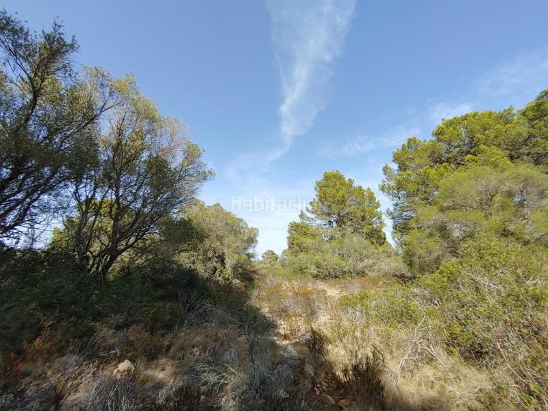 Foto 4193547d-06ee-477c-8fdc-e714916db45b. Terreny residencial a Cala Pi-Vallgornera Llucmajor