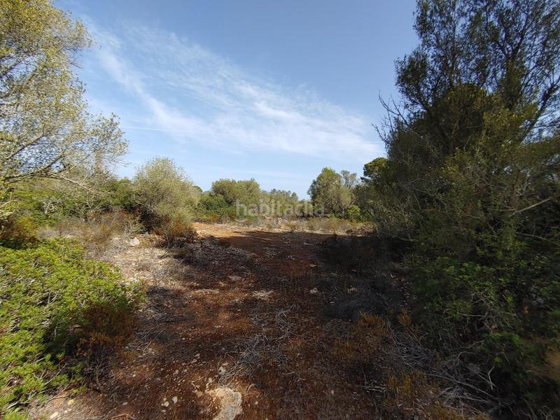 Foto 5c0ed870-50e2-4f9a-b5e7-0036a86f4dfa. Terreny residencial a Cala Pi-Vallgornera Llucmajor