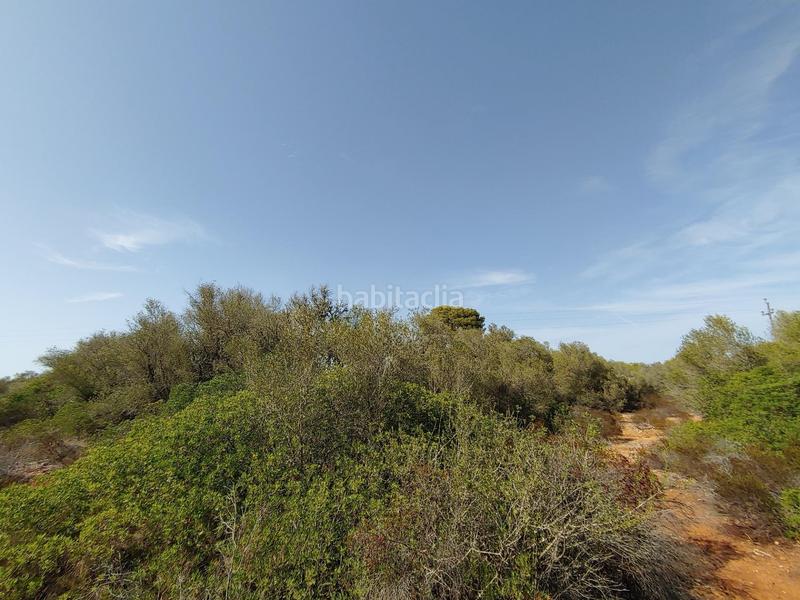 Foto 66e43eb4-4cab-460a-b2b0-3f86f657af76. Terreny residencial a Cala Pi-Vallgornera Llucmajor