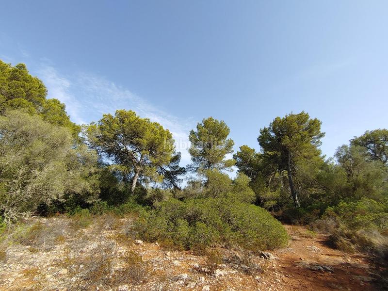 Foto 765e30df-42dd-4f4a-8701-7616c923282e. Terreny residencial a Cala Pi-Vallgornera Llucmajor