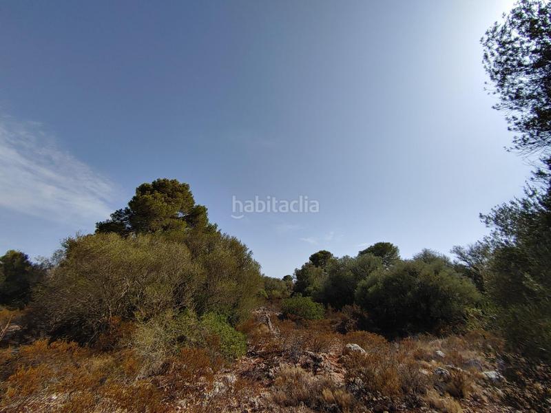 Foto 83d3526a-ea41-4713-be88-ee50437e0946. Terreny residencial a Cala Pi-Vallgornera Llucmajor