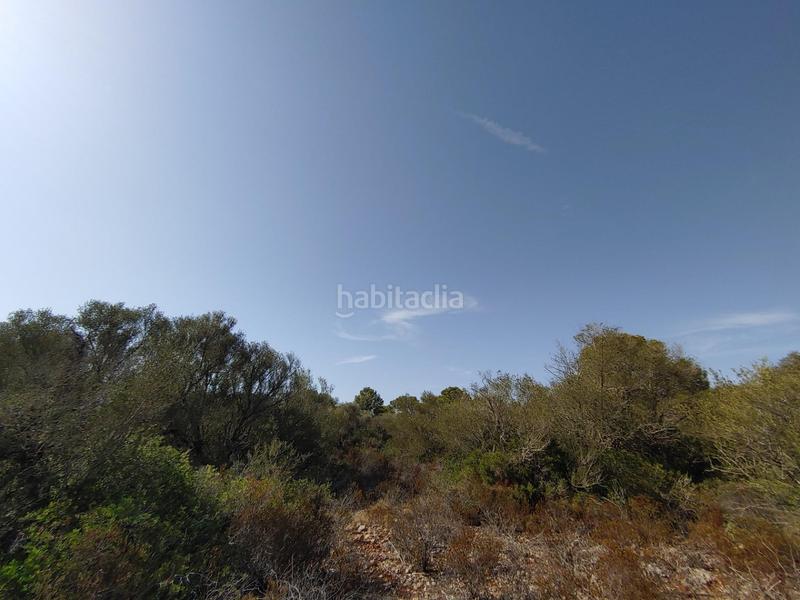 Foto 9e09e4da-55ce-4ede-807f-412c57d719d2. Terreny residencial a Cala Pi-Vallgornera Llucmajor
