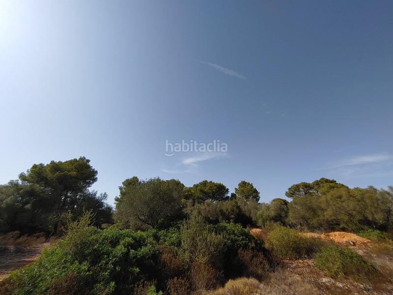 Foto 9f959de2-08d0-4f44-8fef-b7ef57f17fbf. Terreny residencial a Cala Pi-Vallgornera Llucmajor