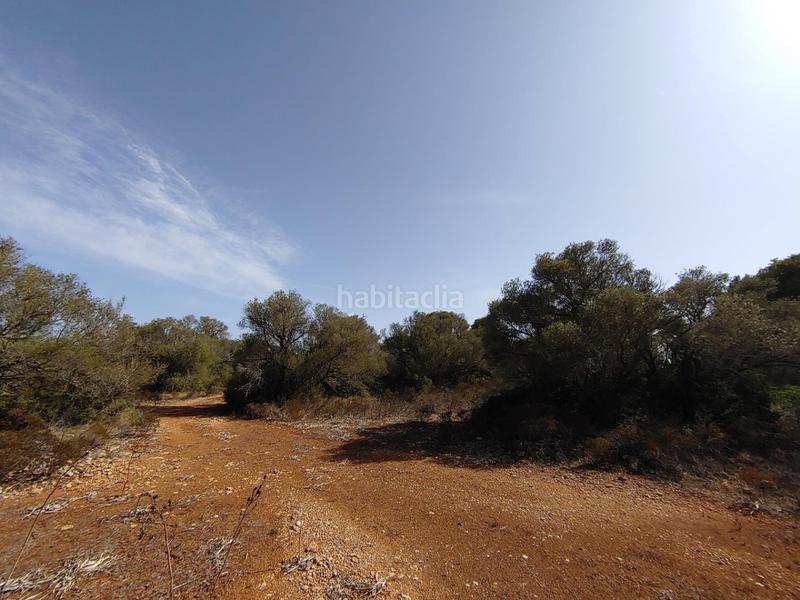 Foto b1f607d6-324c-47e2-9778-d697b1e94738. Terreny residencial a Cala Pi-Vallgornera Llucmajor