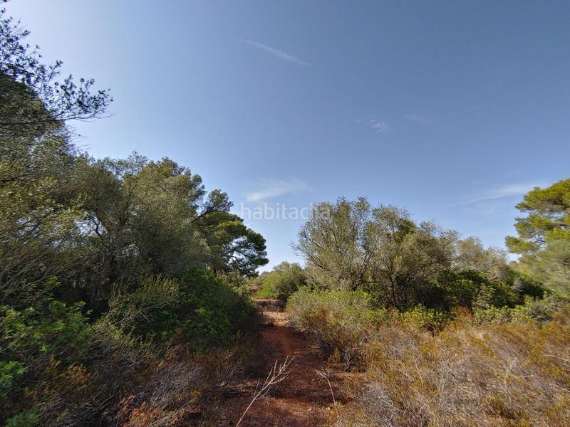 Foto c34d3739-8a49-4b7a-94dd-18492724f409. Terreny residencial a Cala Pi-Vallgornera Llucmajor