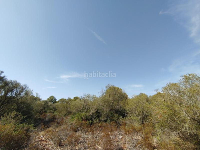 Foto dca5a482-15ae-4c90-93dd-1998777f2543. Terreny residencial a Cala Pi-Vallgornera Llucmajor