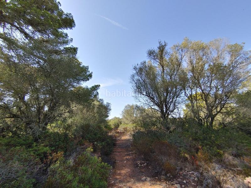 Foto e54bddbb-3f6e-4ddd-baba-d8c43b14d72c. Terreny residencial a Cala Pi-Vallgornera Llucmajor