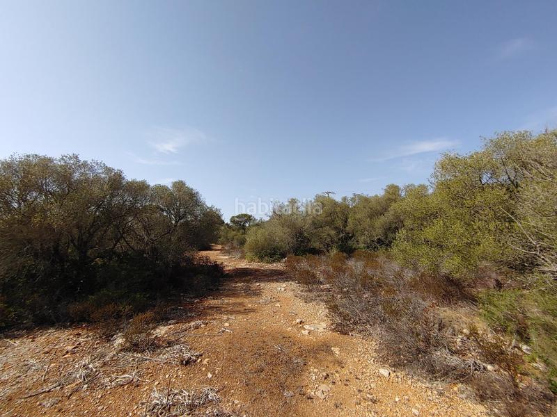 Foto e8b55262-e92a-4f98-932e-e260a5afb7b8. Terreny residencial a Cala Pi-Vallgornera Llucmajor