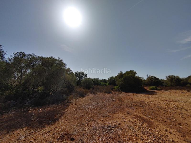 Foto ecb82ab2-a198-430b-872b-6189b8dba5cc. Terreny residencial a Cala Pi-Vallgornera Llucmajor
