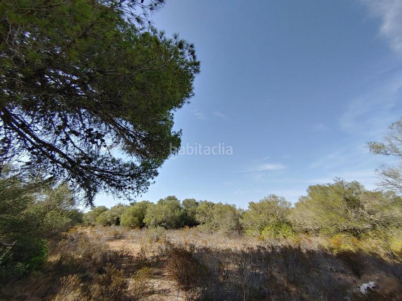 Foto eec714bd-bb7a-455a-ad6b-178283ef7226. Terreny residencial a Cala Pi-Vallgornera Llucmajor