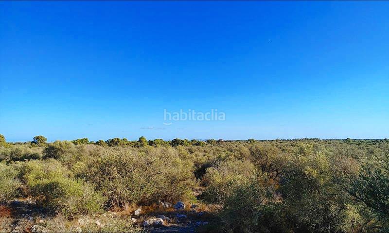 Foto f1e1db2e-abb3-4569-80e0-305b8c19beb4. Terreny residencial a Cala Pi-Vallgornera Llucmajor