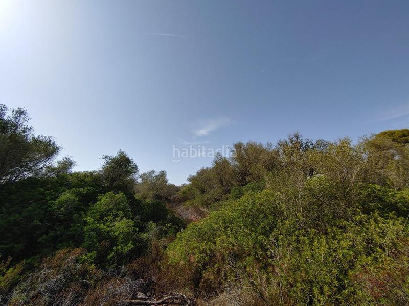 Foto f66472b3-42f0-4447-8e15-0164eec37fab. Terreny residencial a Cala Pi-Vallgornera Llucmajor