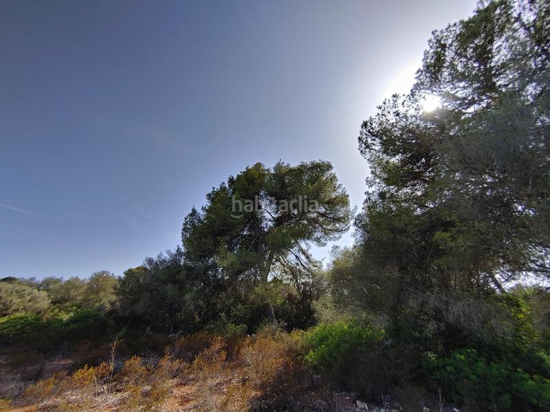 Foto feaf9364-9af3-43b7-98d7-9b8721188f73. Terreny residencial a Cala Pi-Vallgornera Llucmajor