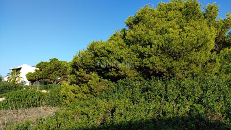 Foto 42e40d78-b094-4fb1-b38a-c54b1b3f33e8. Terrain résidentiel dans Cala Pi-Vallgornera Llucmajor