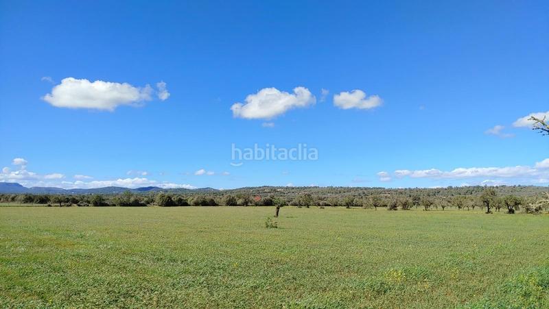 Foto 0f34792b-2a6b-40fc-8f07-99bc86685eb2. Terreny residencial a Campos