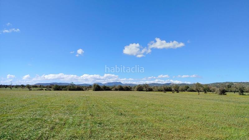 Foto 0fac56a5-4c3f-4b54-b617-55e4a3c1fc64. Terreny residencial a Campos