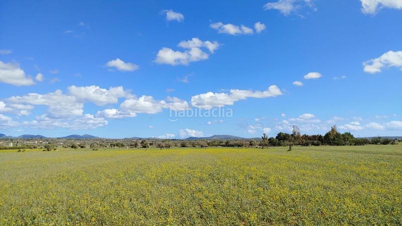 Foto 116255ea-d2b7-4831-88d6-254eb1a0cd74. Terreny residencial a Campos