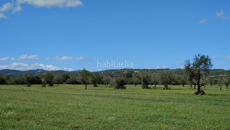 Foto 19a74bb2-15b3-4289-8d1f-d6c9c91bdc2b. Terreny residencial a Campos