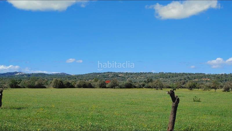 Foto 244de915-4be9-4ab8-b547-d5059c5934b9. Terreny residencial a Campos